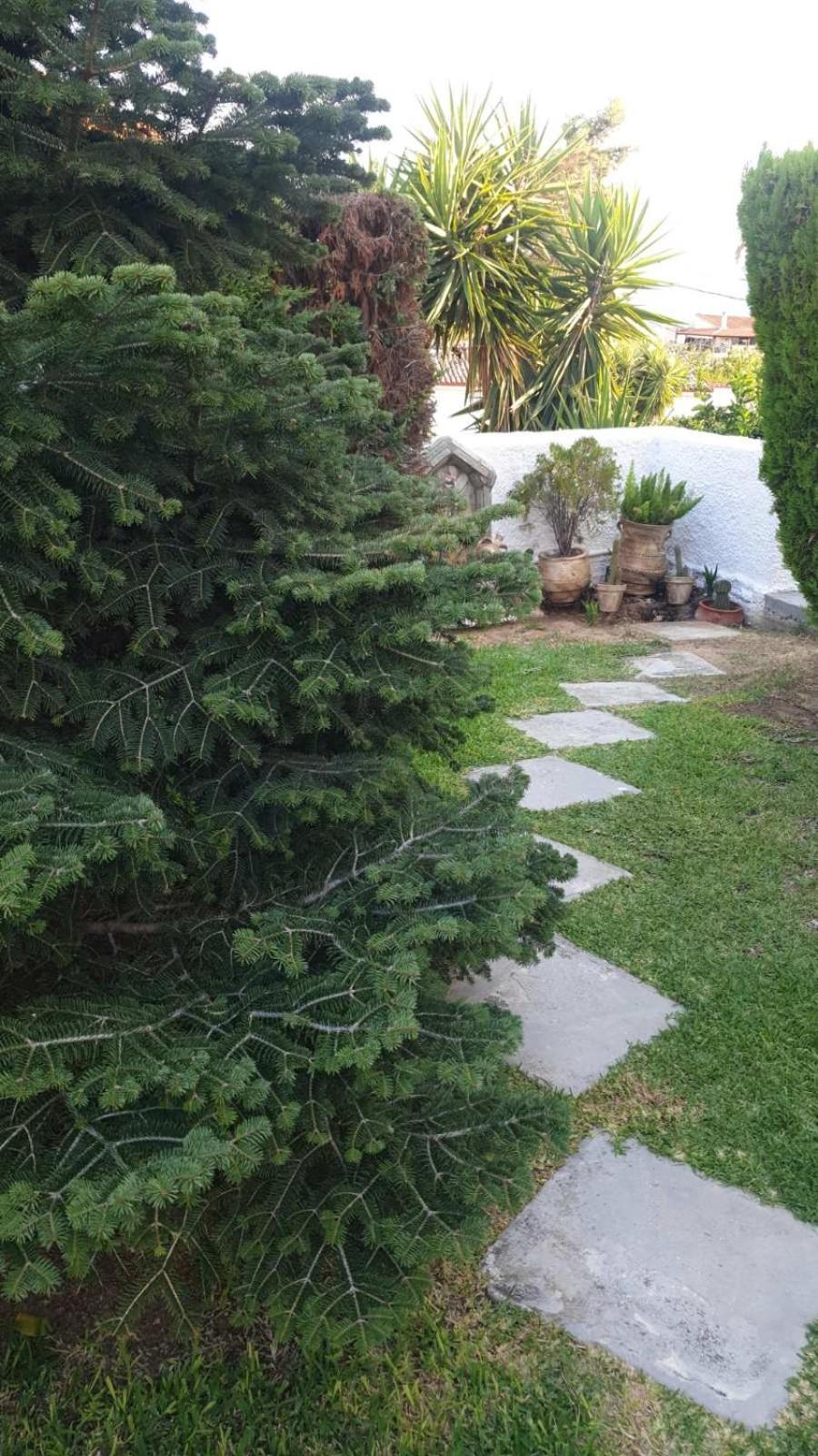 Vila Garden House Amarynthos Exteriér fotografie